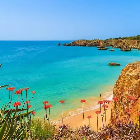 Villa Serro - Beautiful House For 10 People Just 10 Minutes Walk From Beach&resort Centre Carvoeiro (Lagoa)